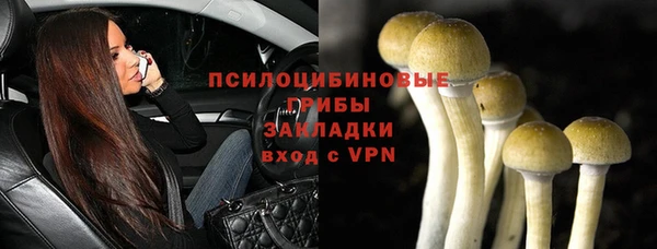 PSILOCYBIN Армянск