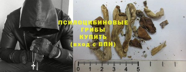 круглые Аркадак