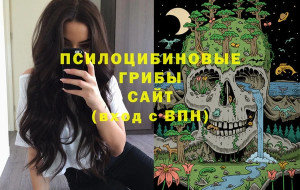 круглые Аркадак