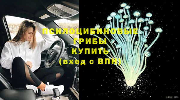 амф Переславль-Залесский