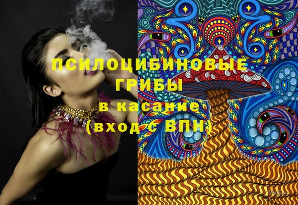 PSILOCYBIN Армянск