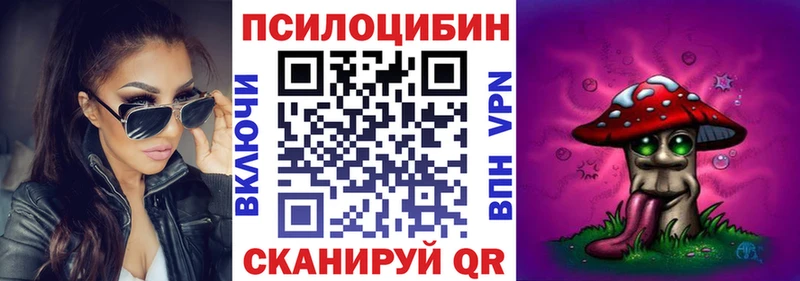 купить закладку  mega   Псилоцибиновые грибы Psilocybe  Городище 