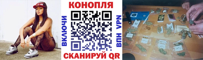 Бошки Шишки план  Городище 